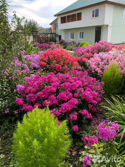 Продам базу