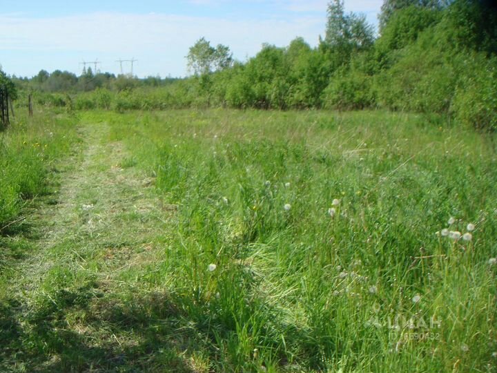 Участок 5,5 га (СНТ, ДНП)