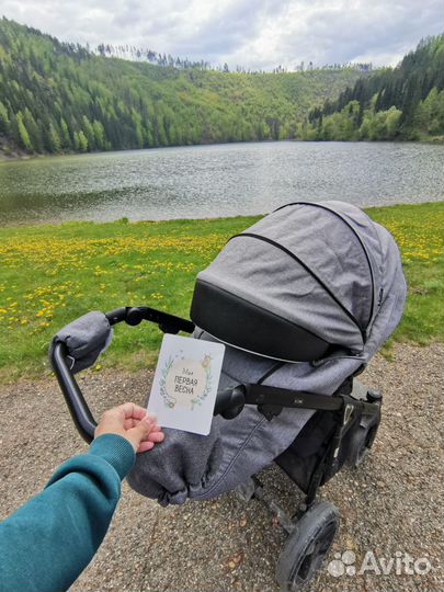 Коляска 2 в 1 adamex cortina