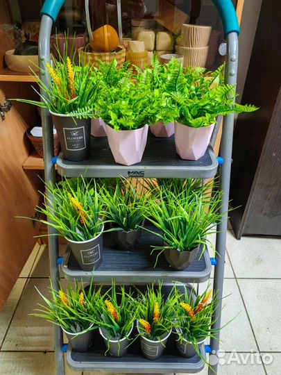 Трава, растения, деревья, цветы в кашпо. декор, от