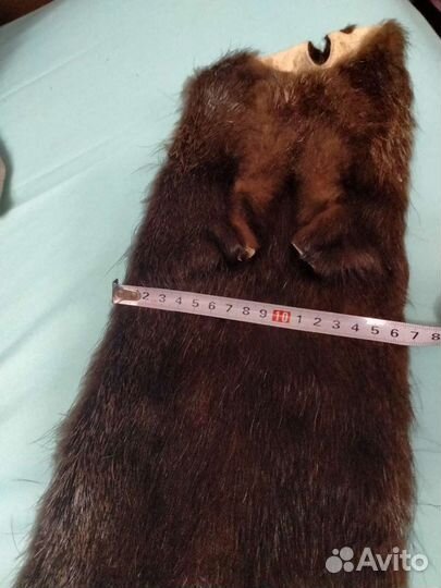 Шкурка нутрии