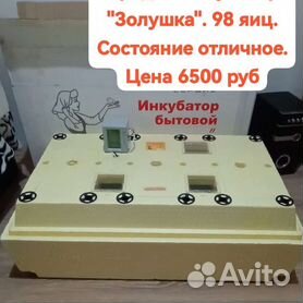 Бытовой инкубатор для цыплят Золушка на 45 яиц 220 В ручной переворот, доставка из Москвы