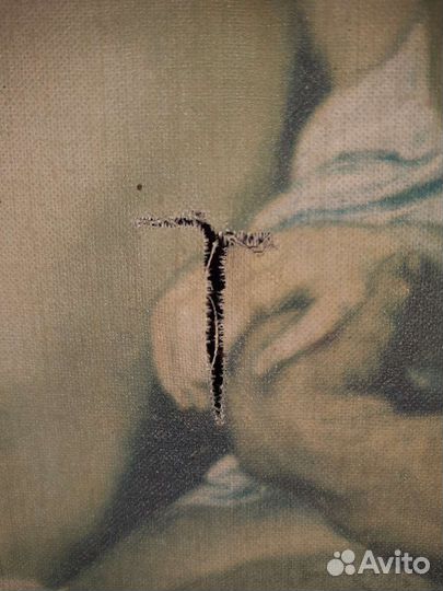 Репродукция на ткани. П. Рубенс