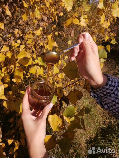 Мёд с Алтая