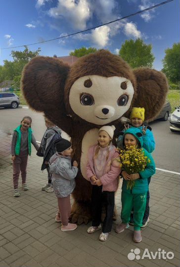 Поздравление Чебурашки в Белгороде