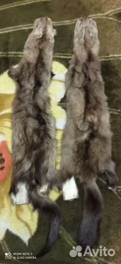 Шкурка животного