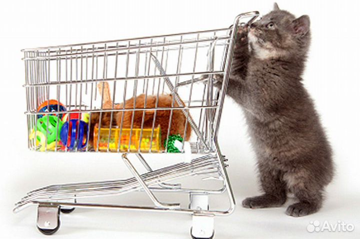 Продукты на корм животным