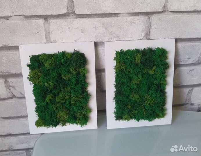 Картина из стабилизированного мха