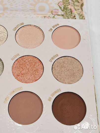 Colourpop wild nothing
