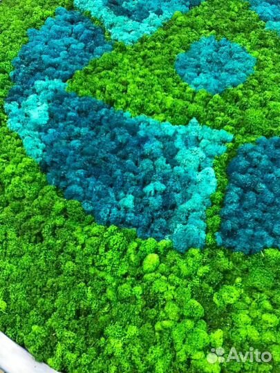 Мох стабилизированный оптом и в розницу