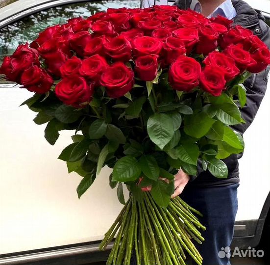 101 роза Цветы Букет