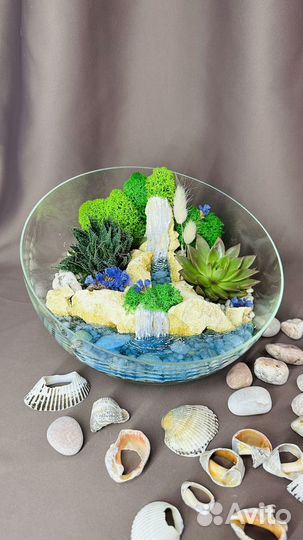 Флорариум суккуленты