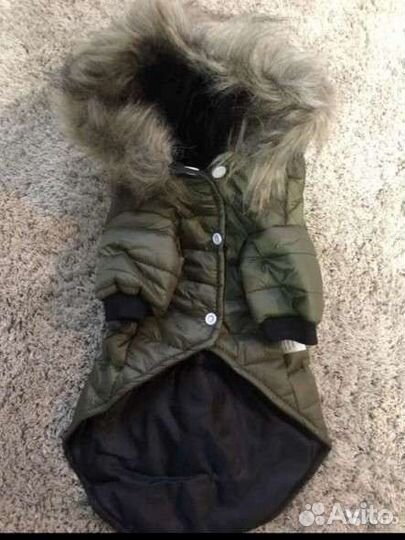 Жилетка для собак