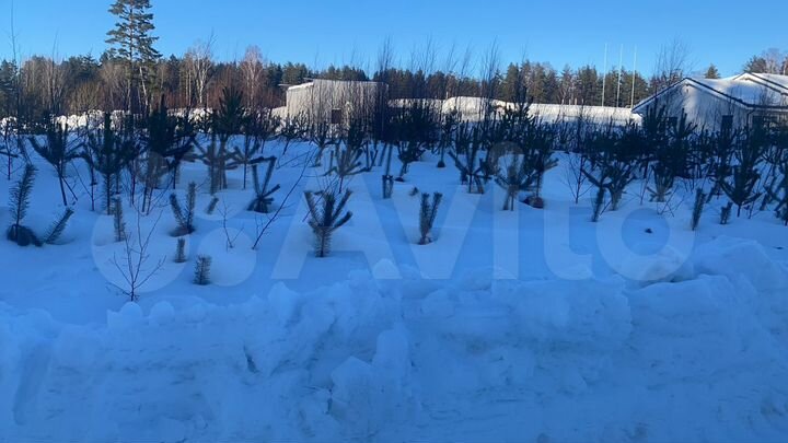 Участок 10 сот. (СНТ, ДНП)