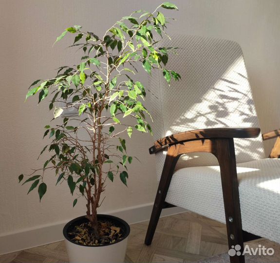 Реставрация мебели, покраска