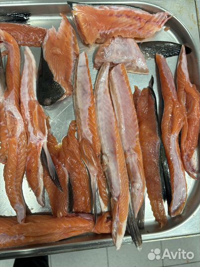 Кета брюшки