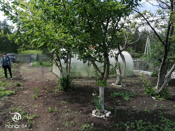 Участок 6 сот. (СНТ, ДНП)