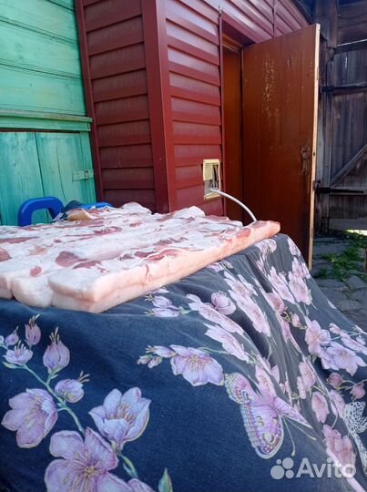 Сало свежее