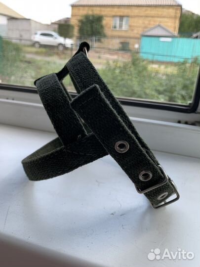 Ошейник и шлейка для собак