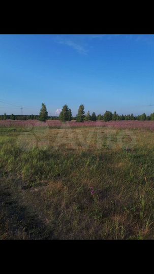 Участок 3,5 га (СНТ, ДНП)