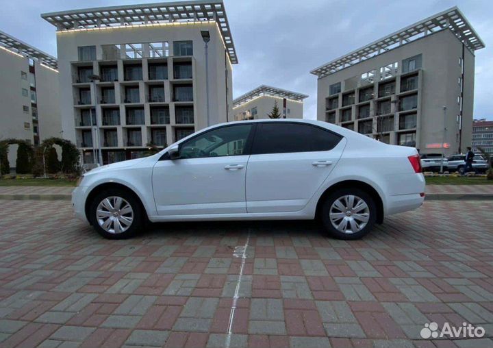 Аренда автомобиля Skoda Octavia