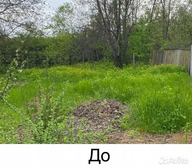 Покос травы