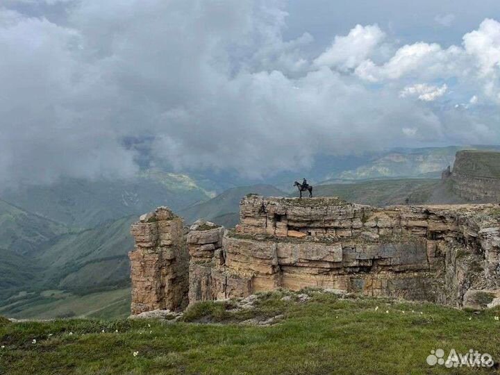 Конные прогулки, туры