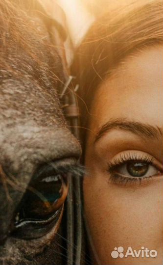 Фотодень с лошадью