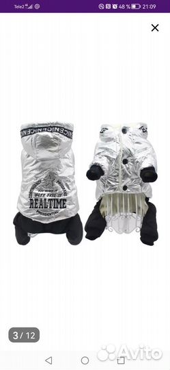 Кобез для собаки