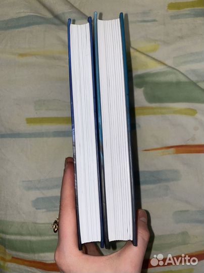 Реннвинд Лея Стенберг Поцелуй ночи Проклятие дня