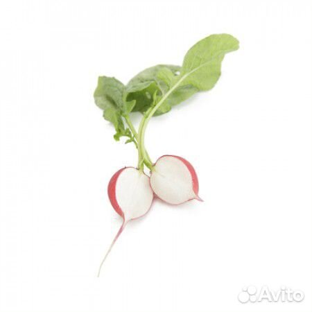 Семена Редиса 