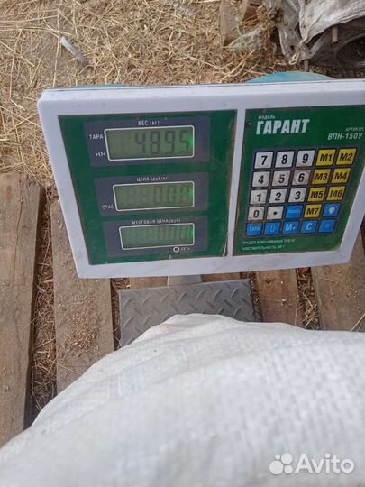 Картошечка