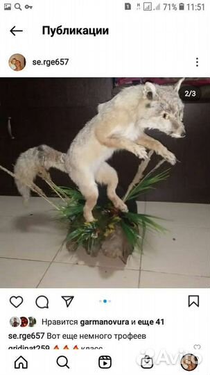 Чучела разные