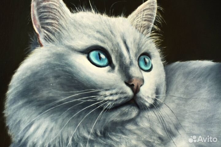 Картина маслом Портрет белого кота