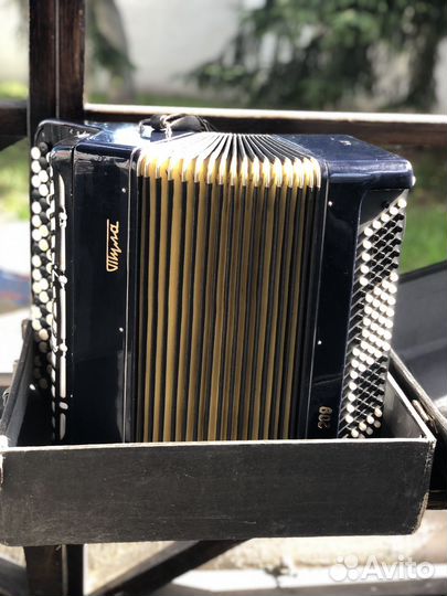 Баян тула 209