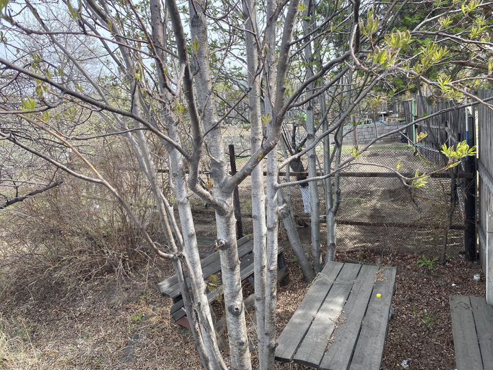 Дача 10 м² на участке 6 сот.