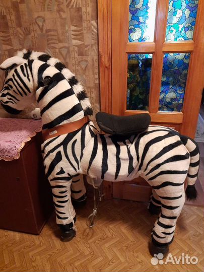 Поницикл большой профессиональный