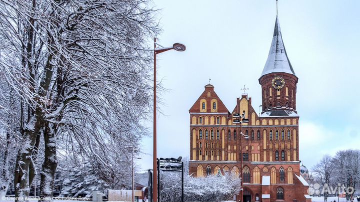 Обзорная автобусная экскурсия по Калининграду