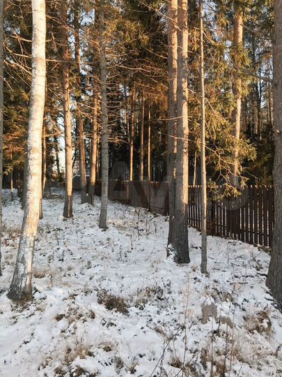 Участок 28,7 сот. (ИЖС)