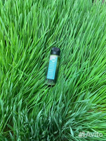 Витграсс - сок из ростков пшеницы