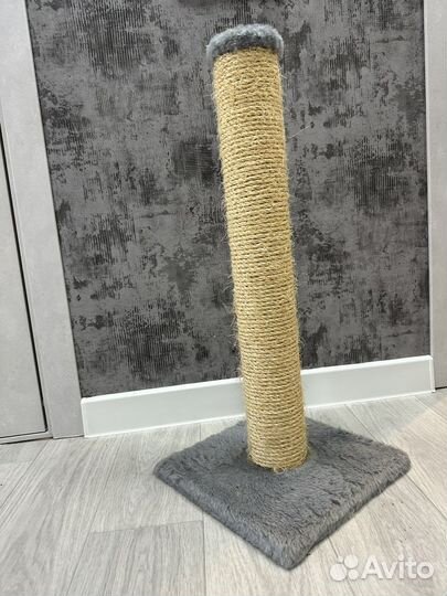Когтеточка