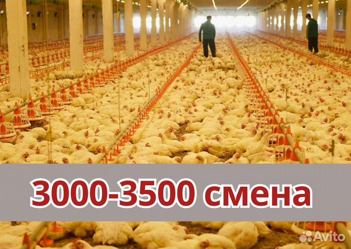 Вахта с проездом Грузчики Упаковщики м\ж