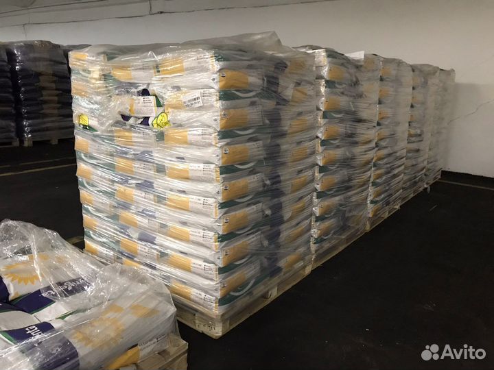 Семена подсолнечника, кукурузы (Сингента) и сзр