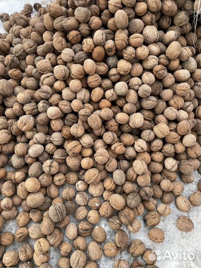 Грецкий орех в скорлупе