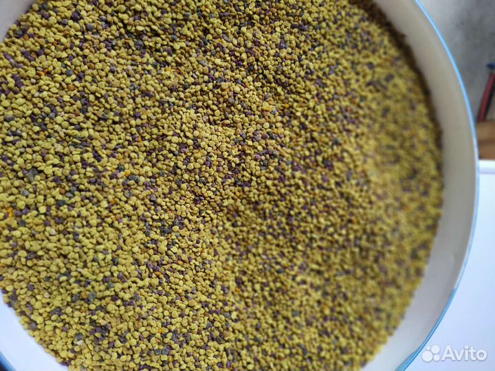 Пыльца пчелиная