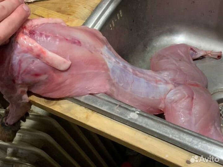 Мясо кролика тушками