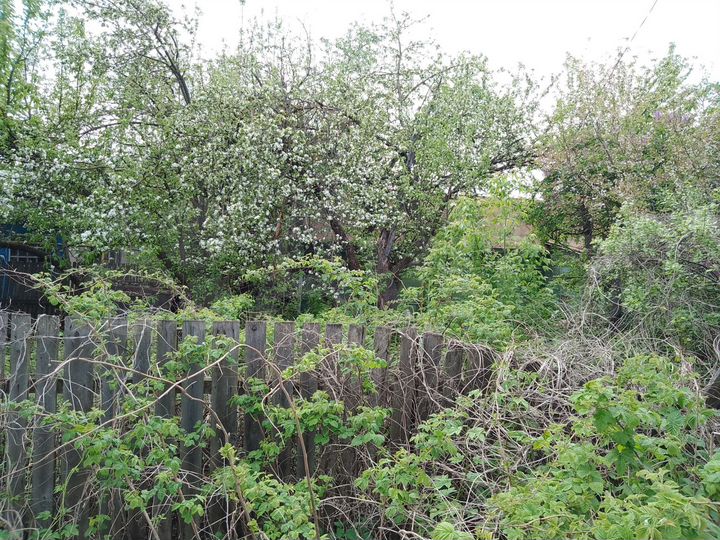 Дом 63,3 м² на участке 13 сот.