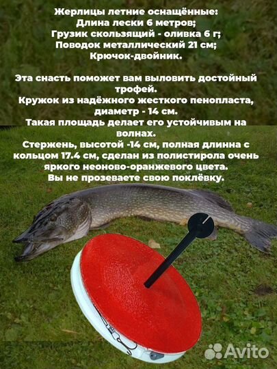 Кружки оснащенные для рыбалки летние жерлицы