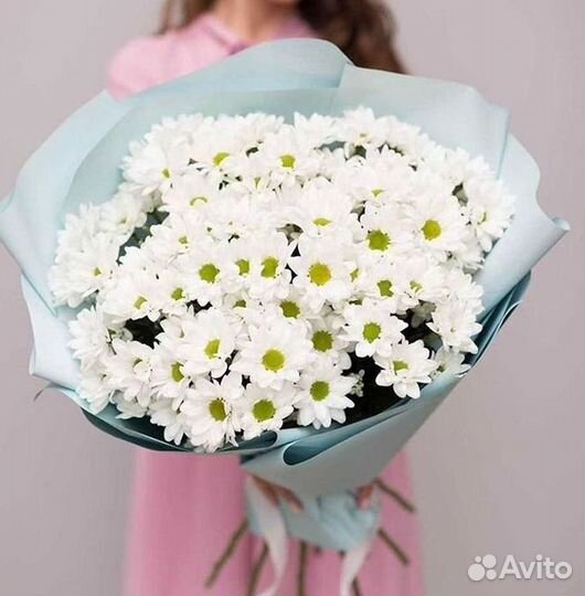 Хризантема Букет хризантем Доставка