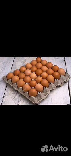 Домашние куриные яйца